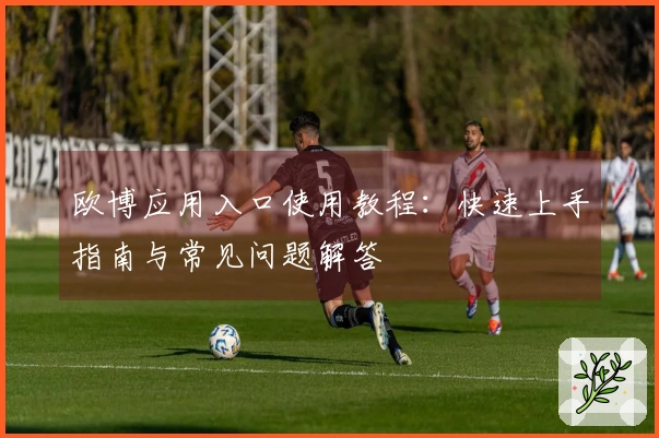 欧博应用入口使用教程：快速上手指南与常见问题解答