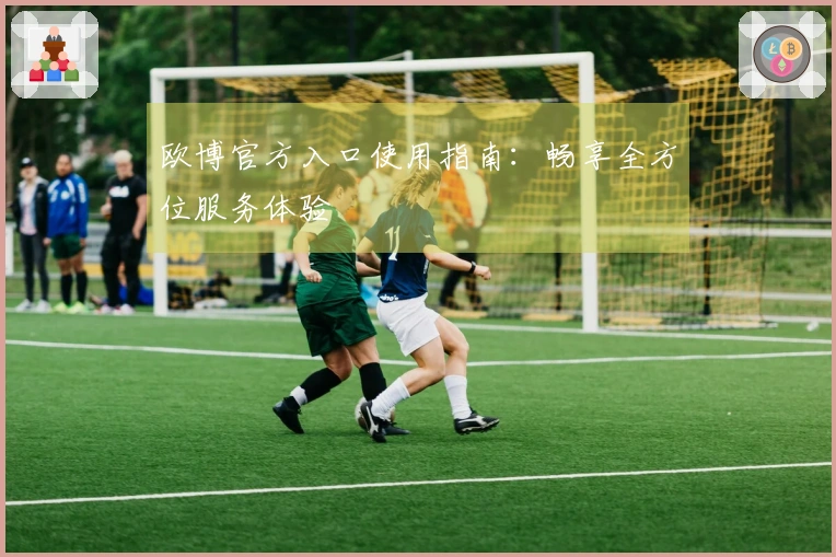 欧博官方入口使用指南：畅享全方位服务体验
